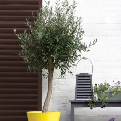 Sandtex® Exterior 10 Year Gloss Paint Chestnut Brown - 2.5L -Sandtex 12809793 1464871561257353