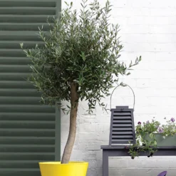 Sandtex® Exterior 10 Year Satin Paint Fern Canopy - 750ml -Sandtex 12809801 1644871561235027