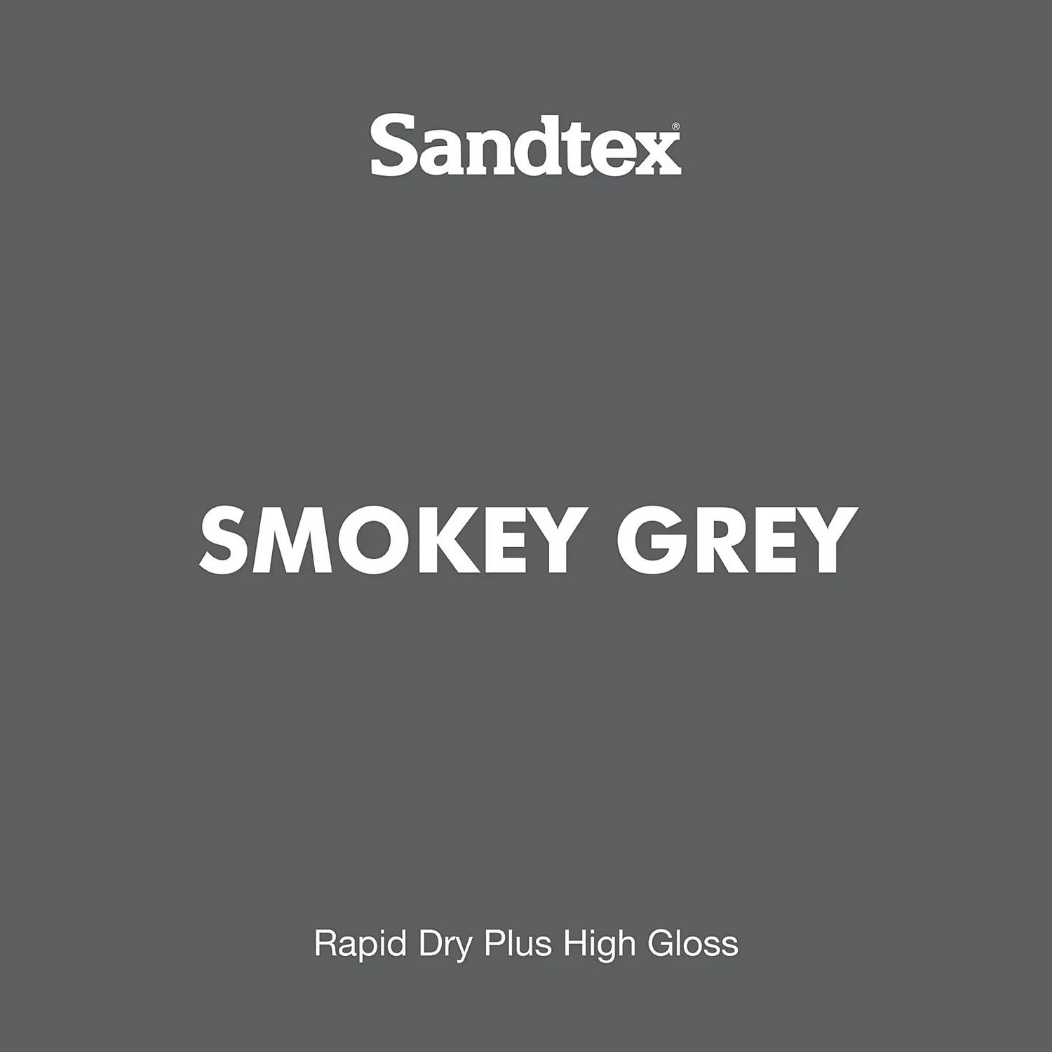 Sandtex® Rapid Dry Gloss Paint Smoky Grey - 750ml Sandtex® Rapid Dry Gloss Paint Smoky Grey - 750ml -Sandtex 12813372 1054951367201256