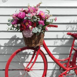 Sandtex® Rapid Dry Satin Paint Clay White - 750ml 6 Sandtex® Rapid Dry Satin Paint Clay White - 750ml -Sandtex 12815747 1924951367590050