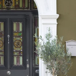 Sandtex Olive Matt Masonry Paint, 5L Tub -Sandtex sandtex olive matt masonry paint 5l tub5010131544613 05i bq