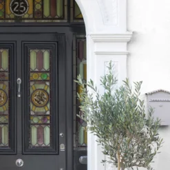 Sandtex Ultra Smooth Pure Brilliant White Masonry Paint, 5L -Sandtex sandtex ultra smooth pure brilliant white masonry paint 5l5010131461293 05i bq